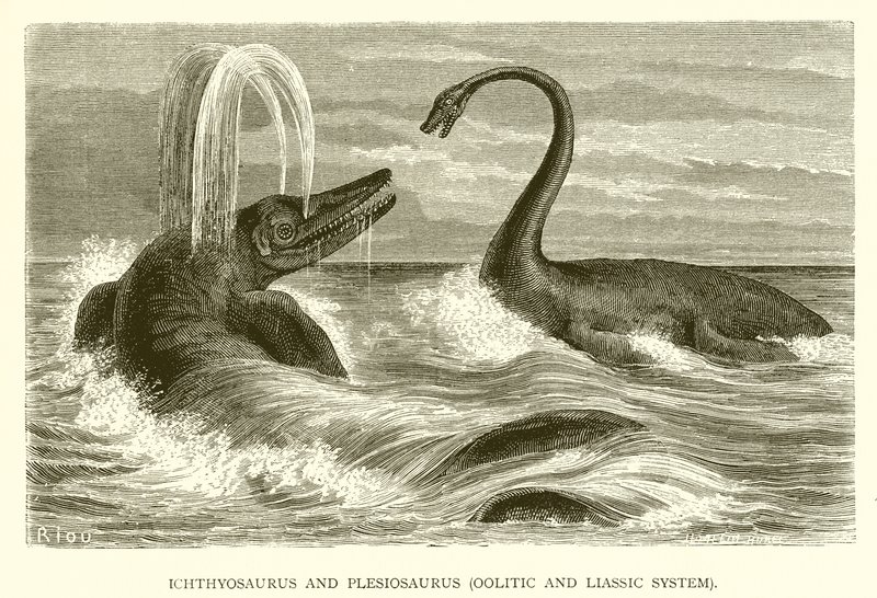 Ichthyosaurus og Plesiosaurus, Oolitisk og Liassic System af English School