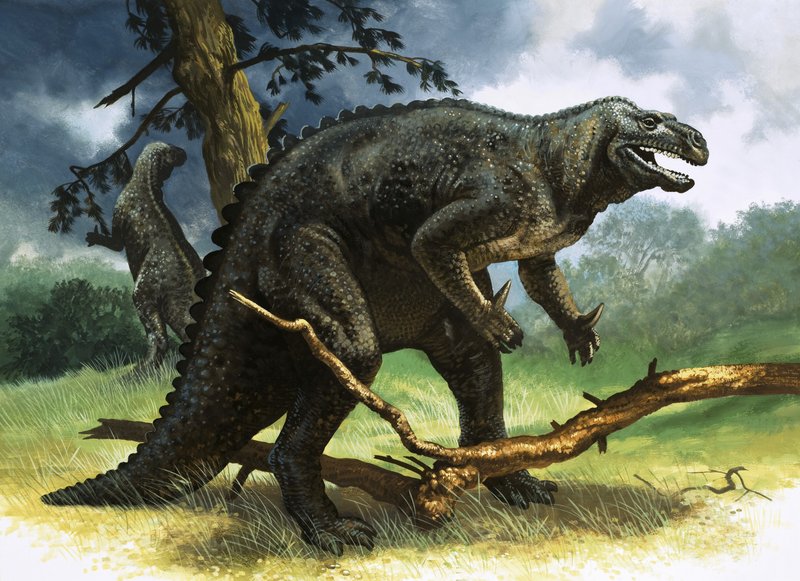 Iguanodon af English School