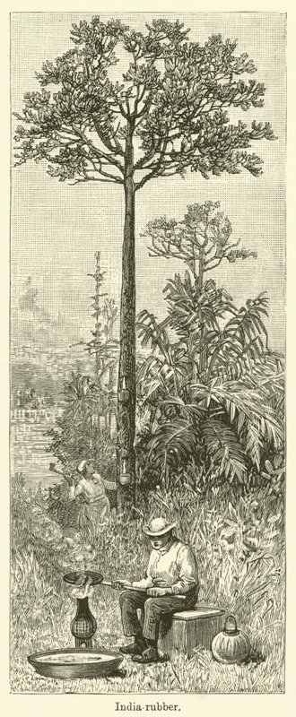 India-rubber (engraving) af English School