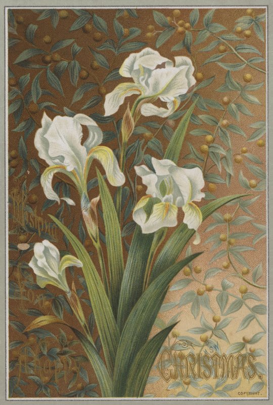 Iris (chromolitho) af English School