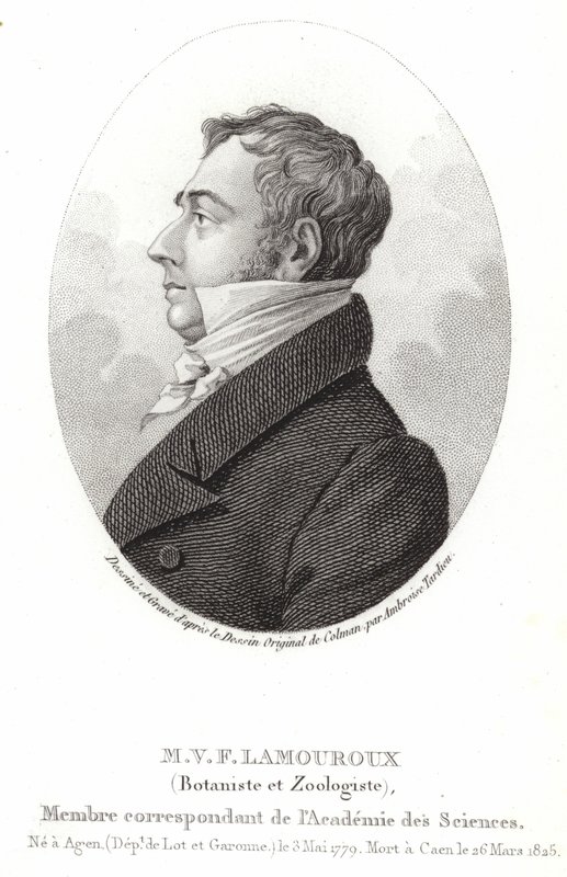 Jean Vincent Felix Lamouroux af English School