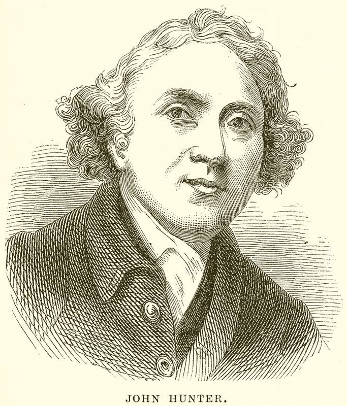 John Hunter af English School