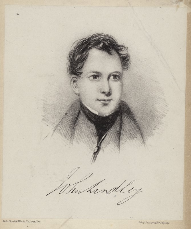 John Lindley af English School