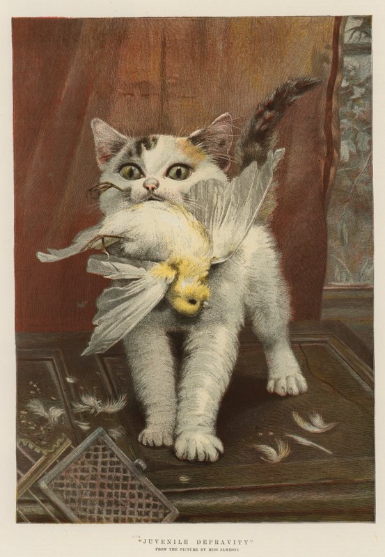 Juvenile depravity (chromolitho) af English School