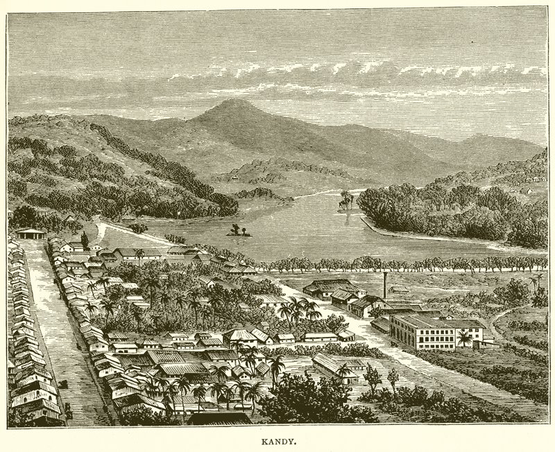 Kandy af English School