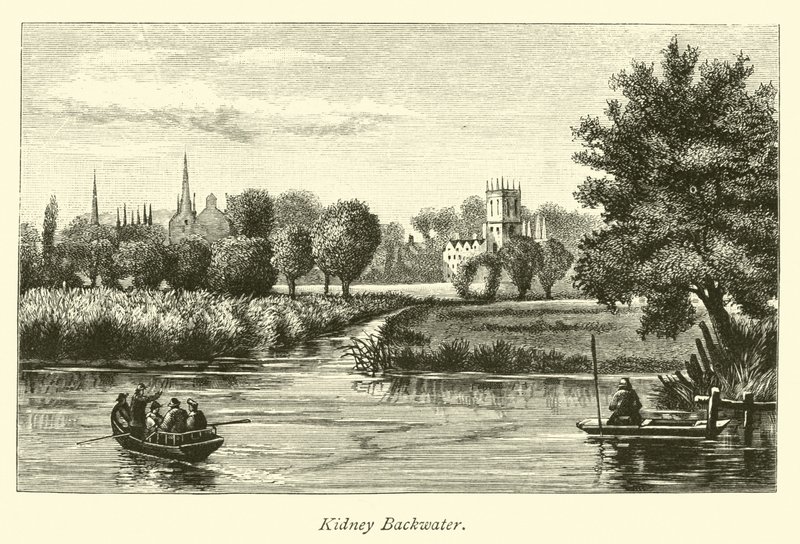 Nyre Backwater af English School