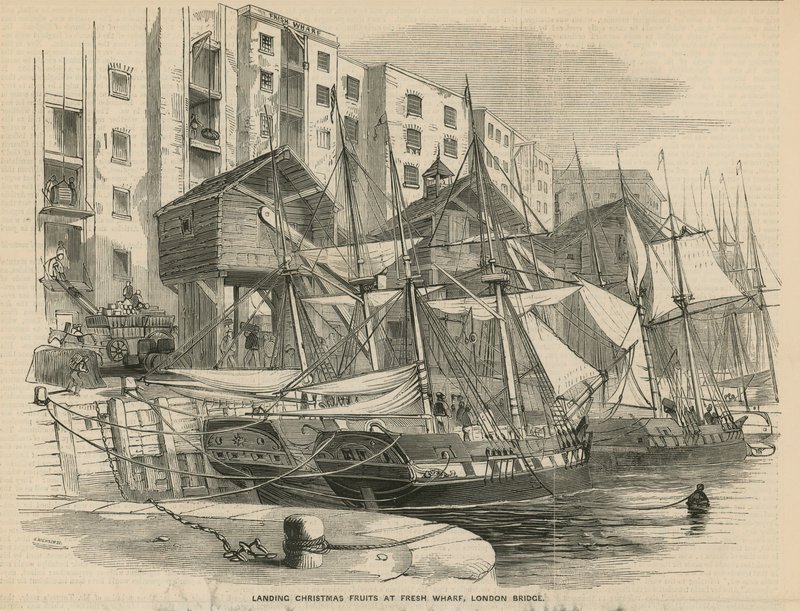 Lander julefrugter ved Fresh Wharf af English School