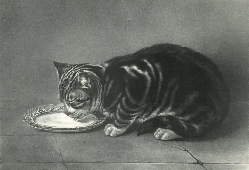 Le Gourmand, Frøseren af English School