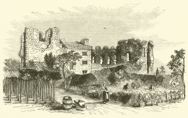 Leicester Abbey (gravering) af English School