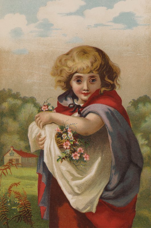 Little Forget-Me-Not (chromolitho) af English School