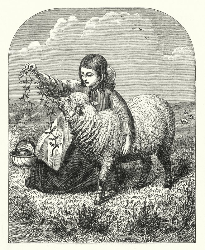 Marias lam (gravering) af English School