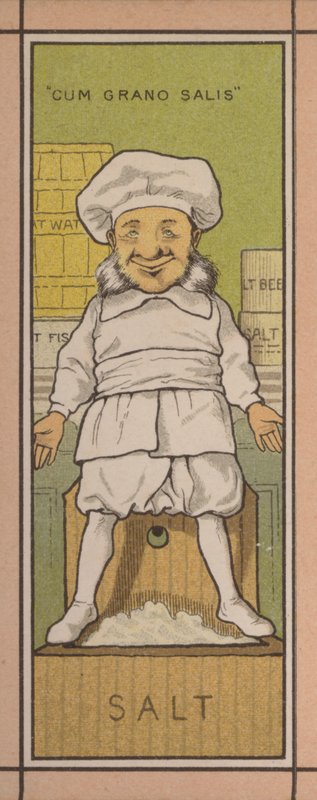 Menu illustration: Salt (farve litho) af English School