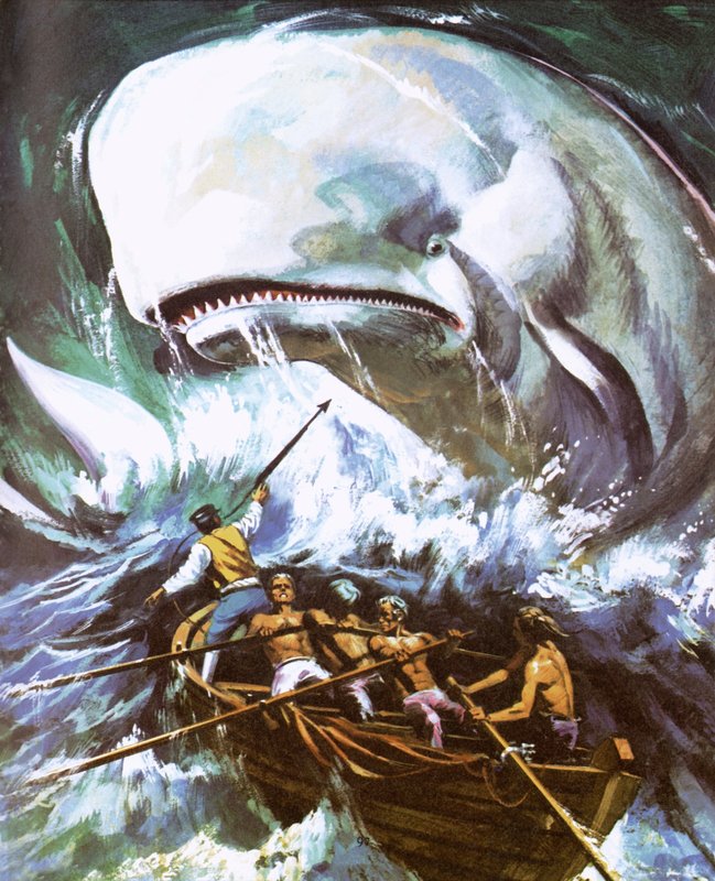 Moby Dick af English School