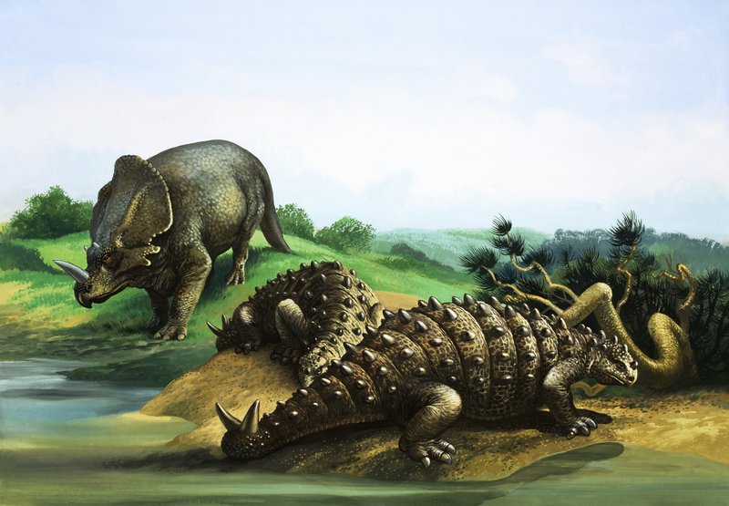 Monoclonius og Scolosaurus af English School