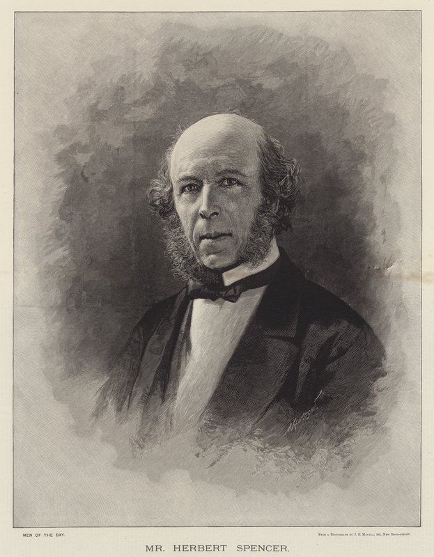 Herbert Spencer (gravering) af English School