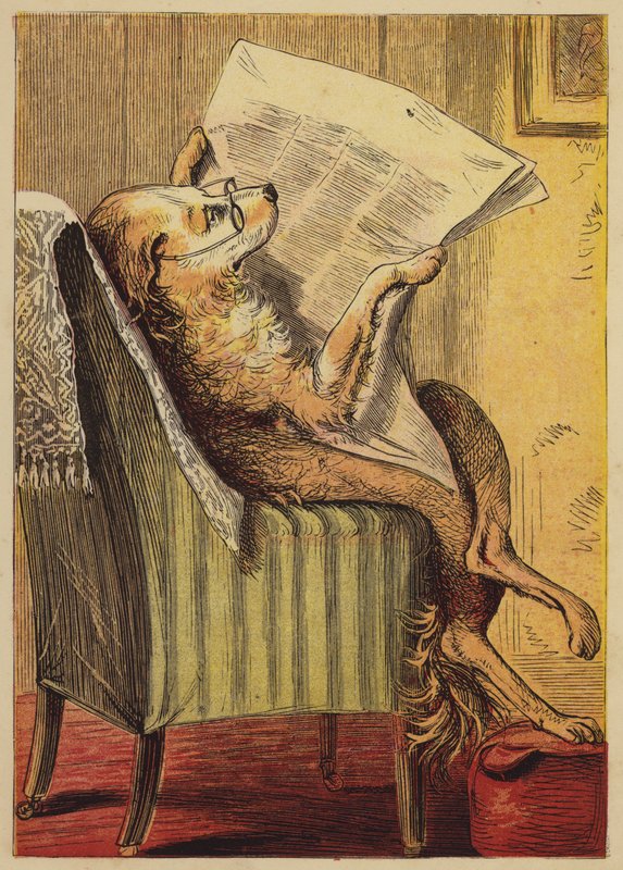 Old Mother Hubbard (farvet gravering) af English School