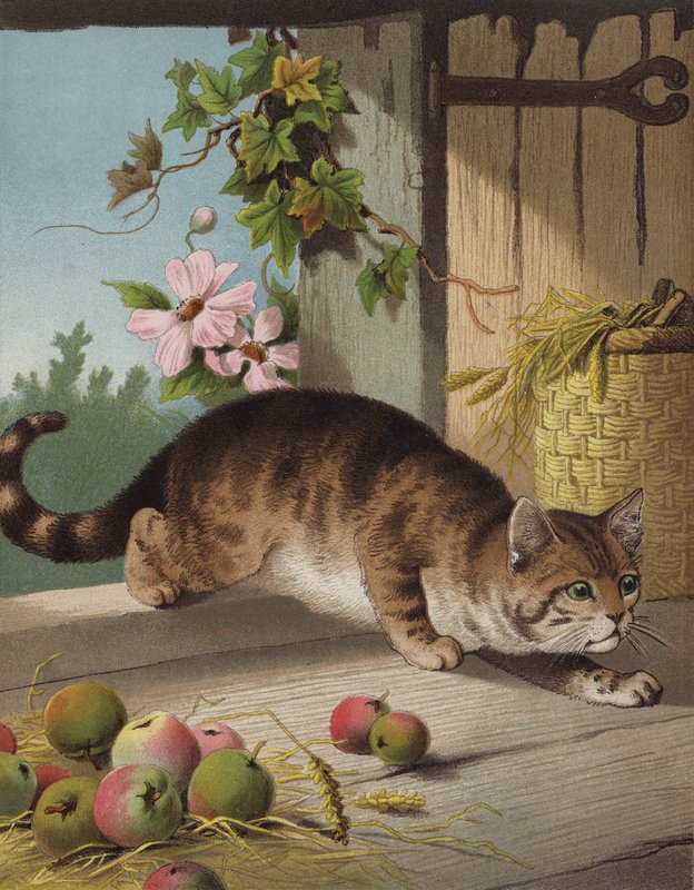 Vores Tom (chromolitho) af English School