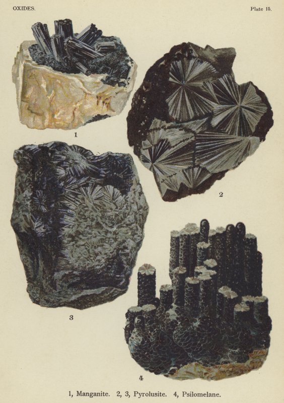 Firben, Manganit, Pyrolisite, Psilomelane (farvesten) af English School