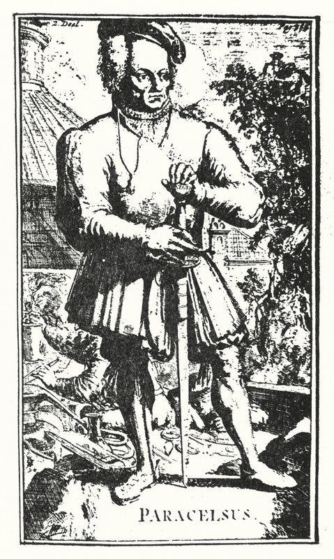 Paracelsus Dani af English School