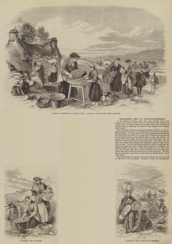 Penclawdd and its Cockle-Gatherers (gravering) af English School