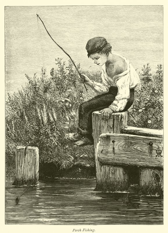Aborre fiskeri af English School