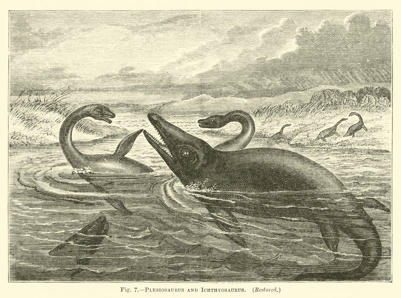 Plesiosaurus og Ichthyosaurus af English School