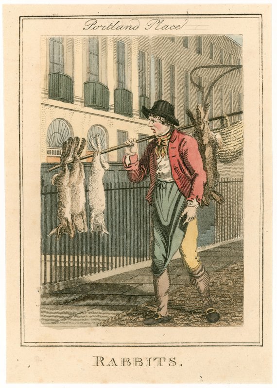 Portland Place. Kaniner af English School