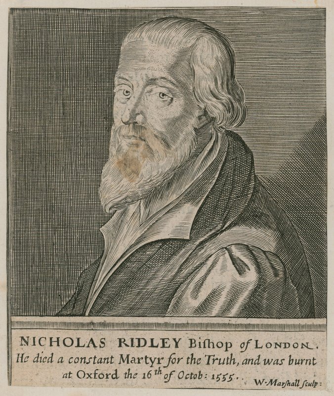 Portræt af Nicholas Ridley af English School