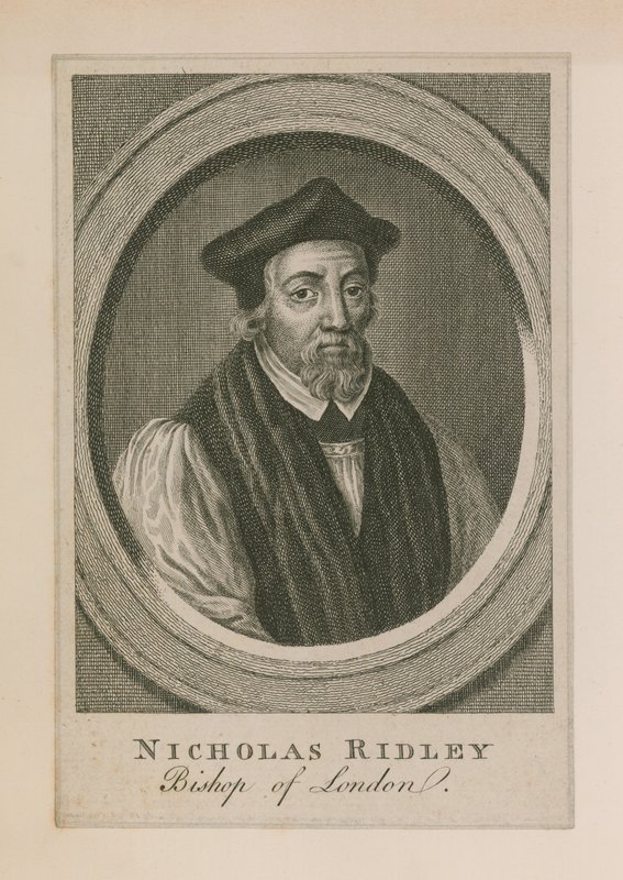 Portræt af Nicholas Ridley af English School