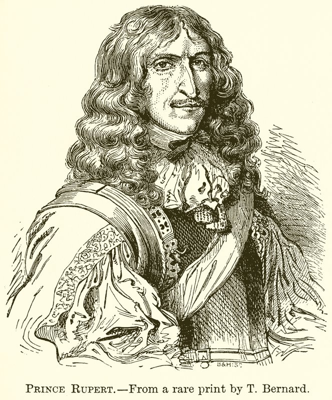 Prins Rupert af English School