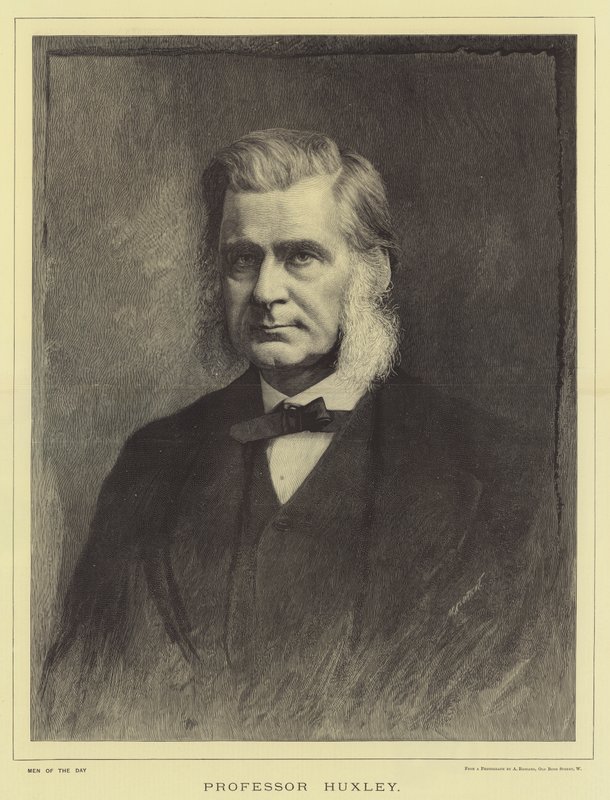 Professor Huxley (gravering) af English School