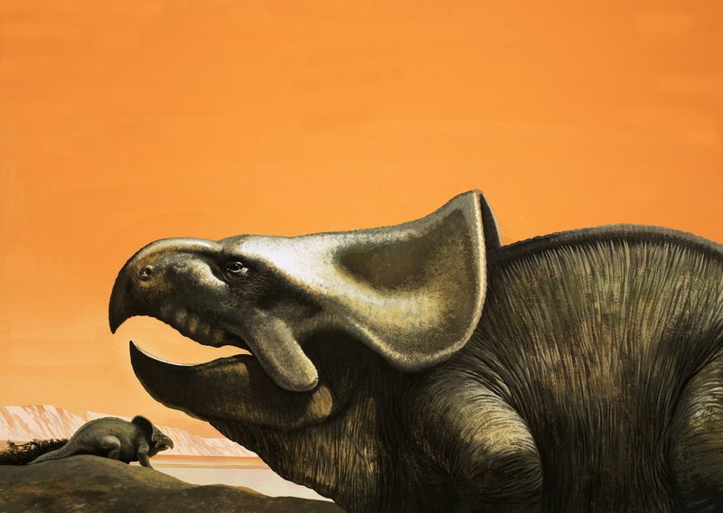 Protoceratops af English School