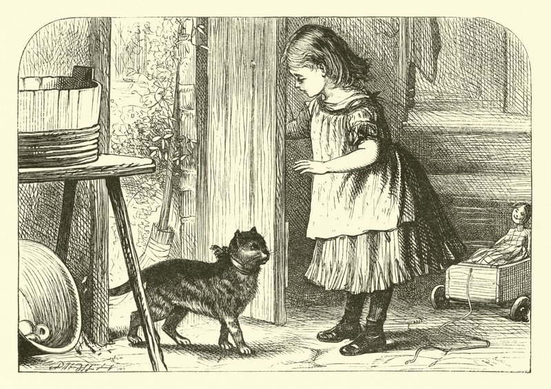 Pussy-Cat, Pussy-Cat af English School