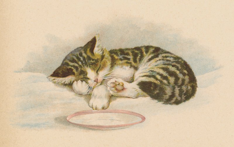 Pussy Cat (chromolitho) af English School
