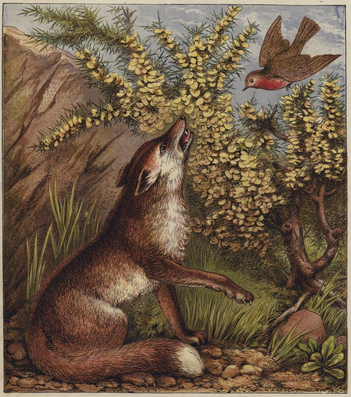 Robins julesang (farvelitografi) af English School