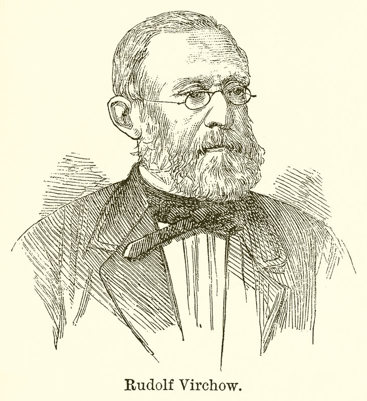 Rudolf Virchow af English School