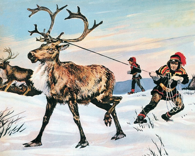 Rudolphs næse er aldrig rød af English School