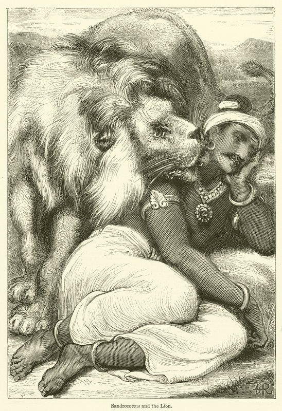 Sandrocottus og løven (kobberstik) af English School