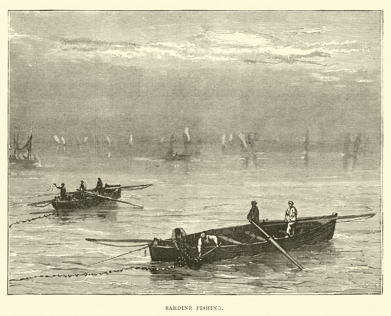 Sardinfiskeri af English School