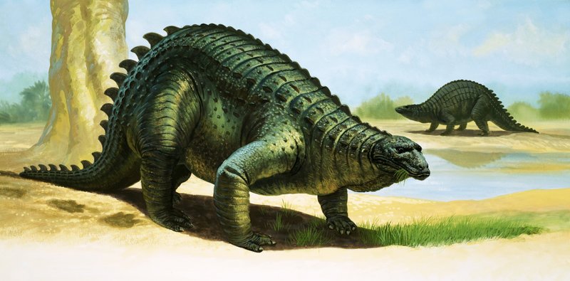 Scelidosaurus af English School