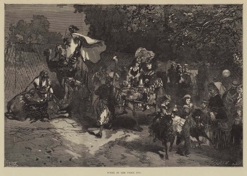 Scene i Paris Zoo (gravering) af English School