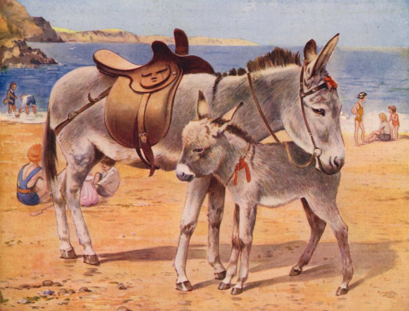 Seaside æsler (farve litho) af English School