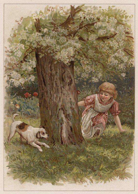 Shappy (chromolitho) af English School