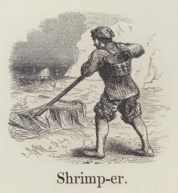 Shrimper (gravering) af English School
