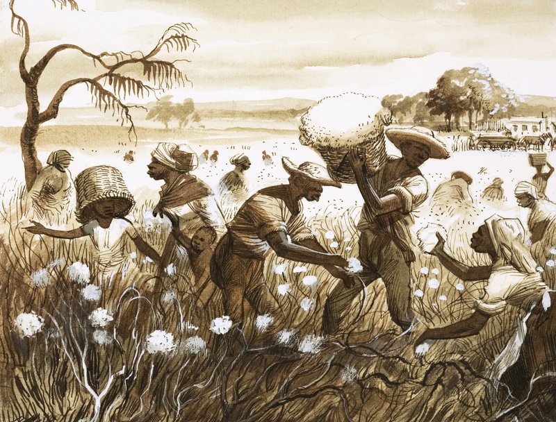 Slaver plukker bomuld af English School