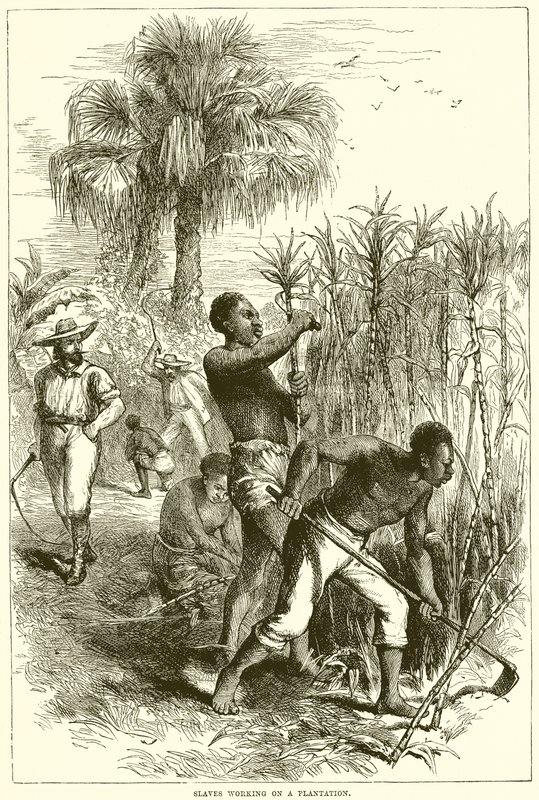 Slaves working on a plantationdani af English School