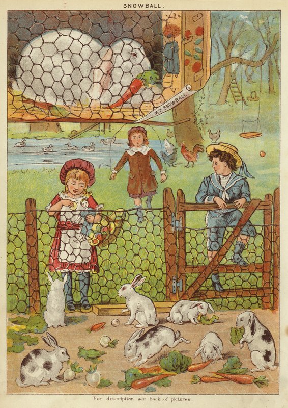 Snebold (chromolitho) af English School