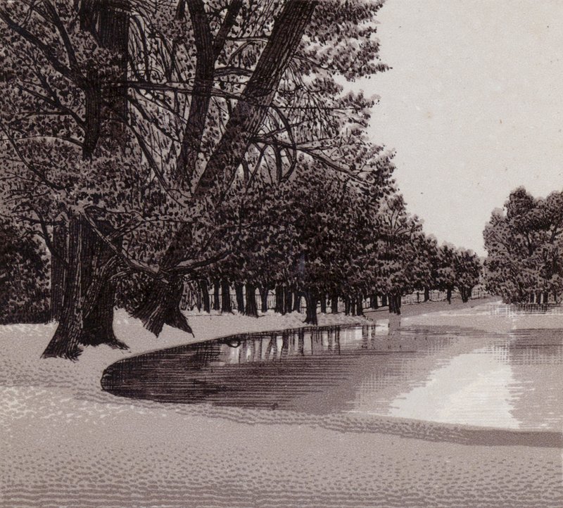 Sophia Gardens, Cardiff (litho) af English School