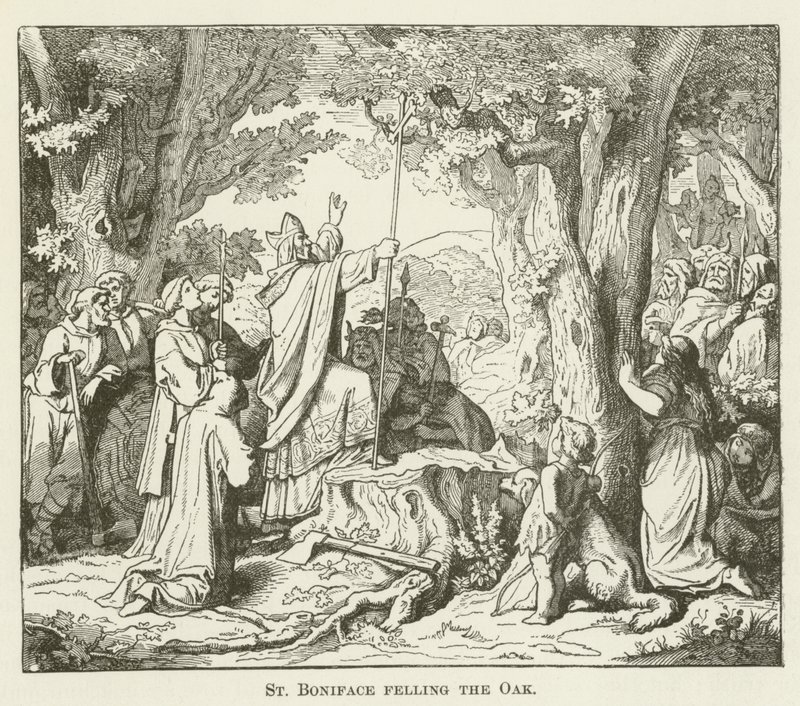St. Boniface fælder Egen af English School