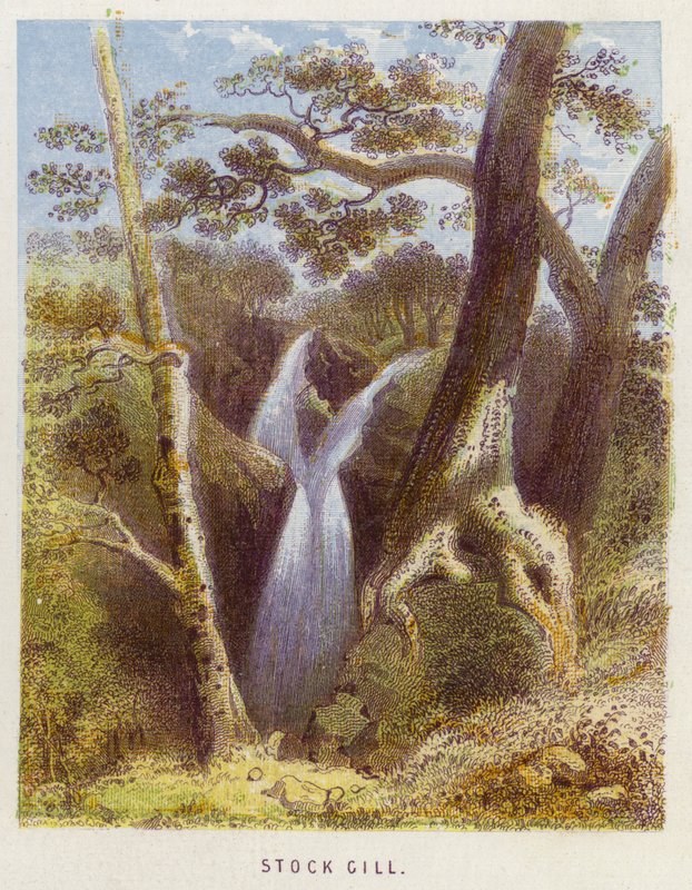Stock Gill (farve litho) af English School